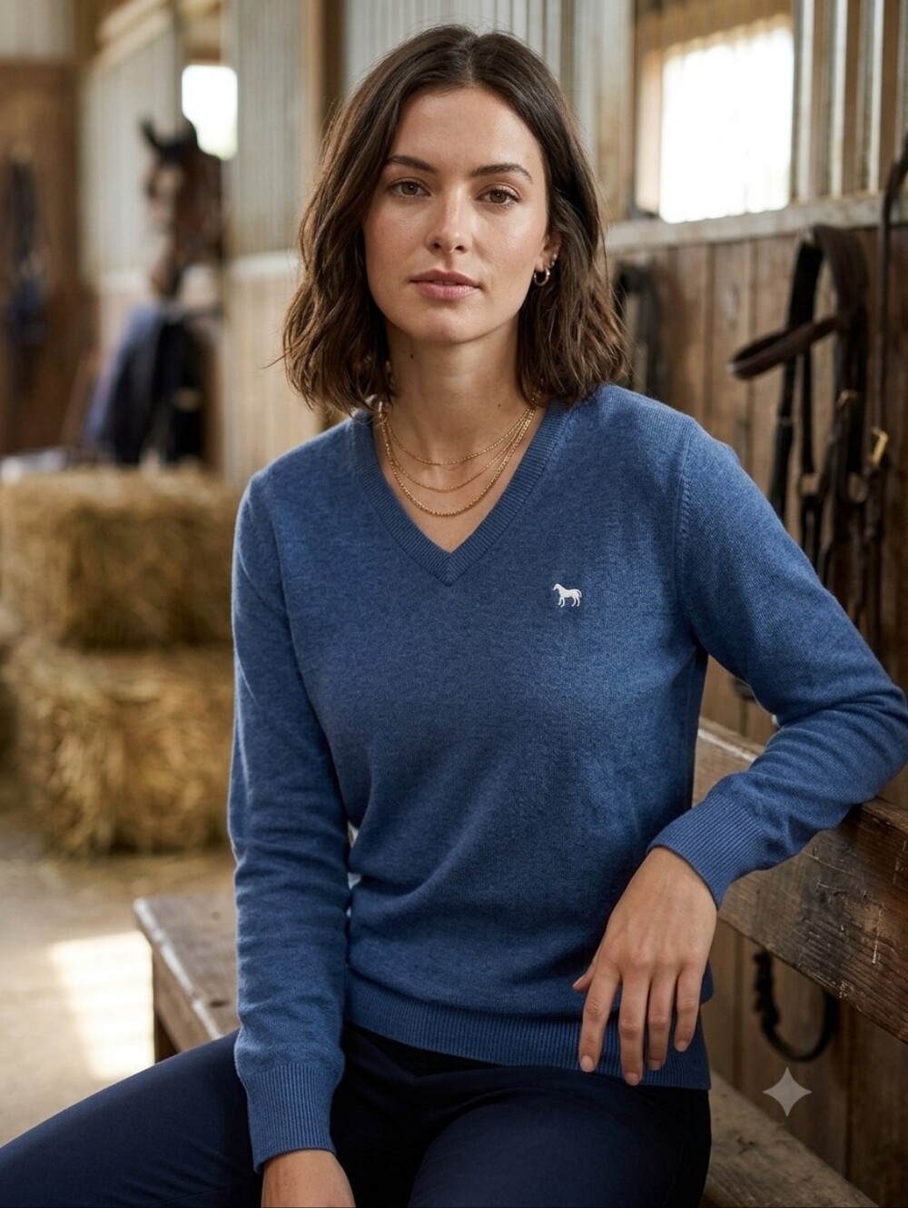 Aerion Equestrian Sweater Classic Preppy Horse Girl Heritage Dark Academia